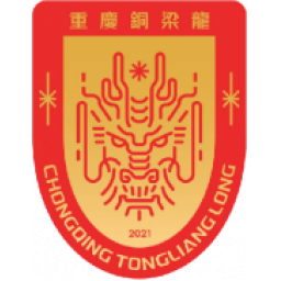 上海嘉定匯龍